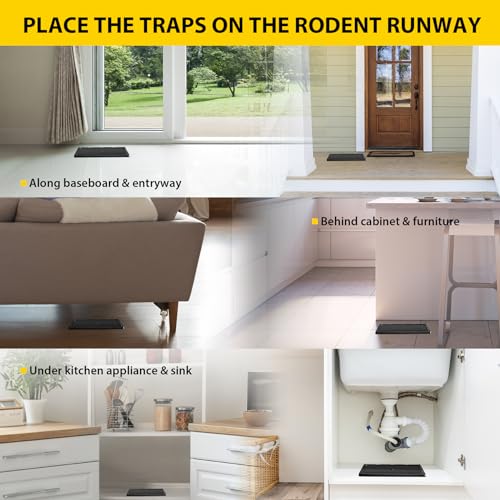 TRAP IT! Mouse Traps Indoor for Home, 12 Pack Pre-Baited Sticky Glue Traps for Mice & Rats, Larger Heavy Duty Adhesive Plastic Trays Pet Family Safe for Rodents, Snakes, Spiders, Lizards Pest Control