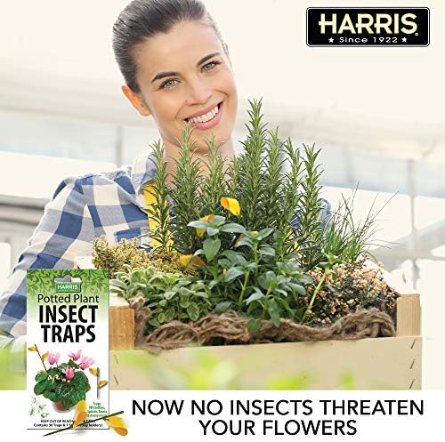 Harris Potted Plant Insect Traps for Gnats, Aphids, Whiteflies and More (30 Traps, 7 Stakes)
