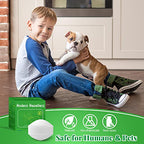 Natural Mouse Repellent, 12 Pack Rodent Repellent Balls Peppermint Oil to Repel Mice and Rats, for Car Engines Home Kitchen Yard Garage Indoor & Outdoor, Humans & Pet Safe