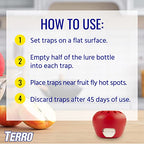 TERRO Indoor Fruit Fly Trap (2-count) | Terro Traps In – Built With Window Sinks