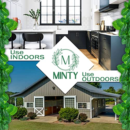 Minty Insect & Pest Control, Powerful & Natural 5% Peppermint Oil Spray for Ants, Spiders, Bed Bugs, Dust Mites, Roaches and More - Indoor and Outdoor Use, 128 fl oz Gallon