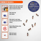 Homeplus™ Ant Killer AB, Metal Ant Bait, Ants Killer for House, Ant Traps Indoor & Outdoor, 4 Pack