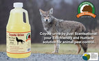 Just Scentsational RS-64 Coyote Urine for Gardens, Hunters, and Trappers, 64 oz (2 Quarts)