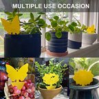 50 Pack Yellow Sticky Traps, 2 Patterns Fruit Fly Fungus Gnat Trap for Indoor/Outdoor Use, Houseplant Sticky Bug Insect Catcher Glue Trappers