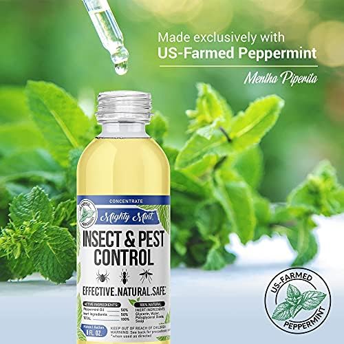 Mighty Mint Peppermint Oil Insect & Pest Control Spray with Concentrate - Makes 1 Gallon