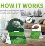 Carmelie Pantry Moth Traps, Moth Traps with Pheromones Prime, 10 Moth Traps for Meal Moth Killer, Sticky Glue Flies Pest Food and Cupboard Moth Killer, Hook Design for Indoor Kitchen Closet, Non-toxic