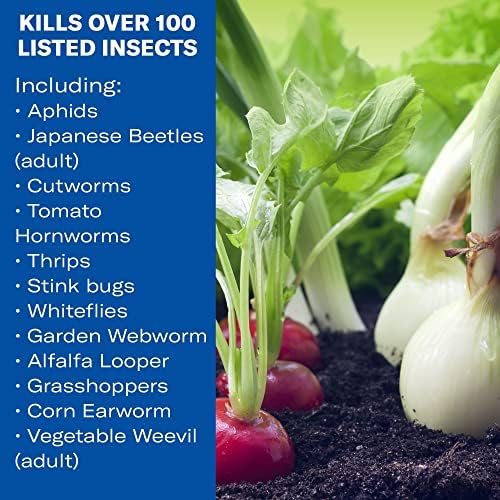 BioAdvanced Vegetable and Garden Insect Spray, Insecticide, 32-Ounce, Concentrate 701521A