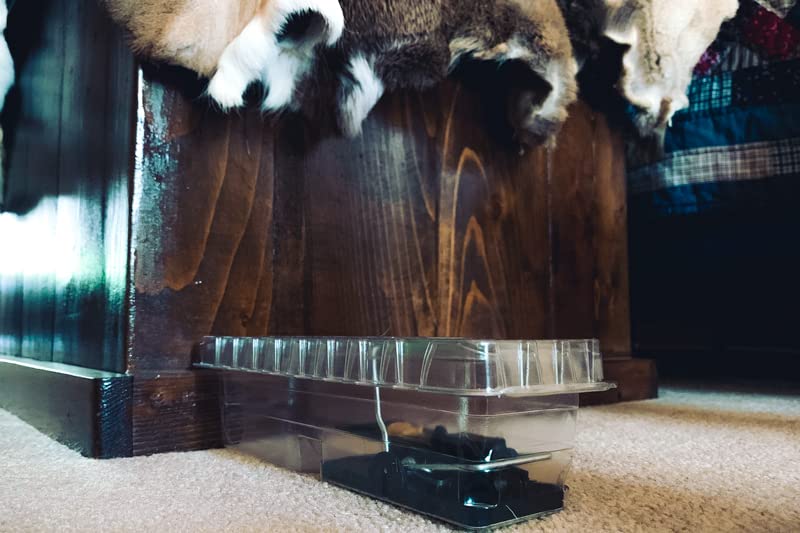 DoomBox™ Green Enclosed Mouse Trap | Keeps The Mess with The Mouse | Patented Click-It™ Closure Technology | Safe for Kids & Pets | Certified Child Resistant | Made in USA (5-Pack Green)