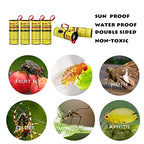 40 Rolls Fly Strips - Fly Tapes Fly Paper Sticky Fly Trap Indoor/Outdoor Hanging,Fly Catcher Fly Ribbon Fungus Gnat Trap Fruit Fly Killer for House/Kitchen/Plants/Horse Stable (40Roll)