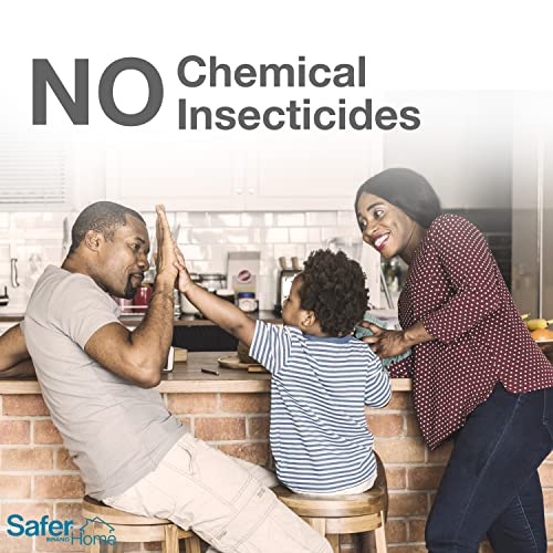 Safer Brand Home SH500 Indoor Fruit Fly Trap – Ready-to-Use, Non-Staining, No synthetic Insecticides – 6 Traps, Blue