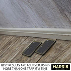 Harris Rat Glue Traps, Fully Disposable (2-Pack)