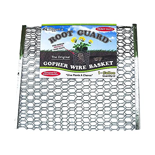 Digger’s 1-Gallon Heavy-Duty Wire Basket - Gopher Wire Basket for Perennials & Vegetables (12 Baskets)