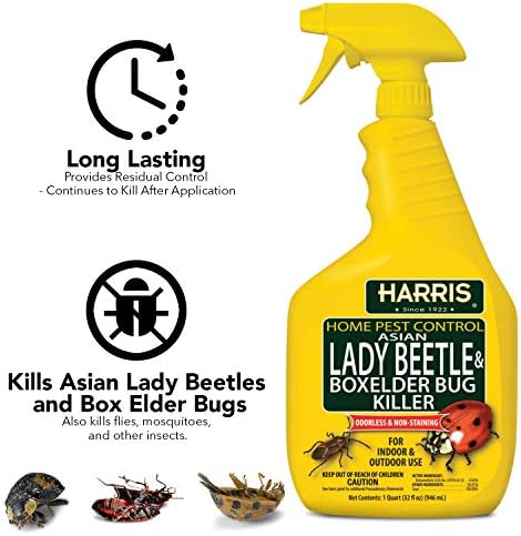 Harris Asian Lady Beetle and Box Elder Killer, Liquid Spray with Odorless and Non-Staining Extended Residual Kill Formula (32oz)