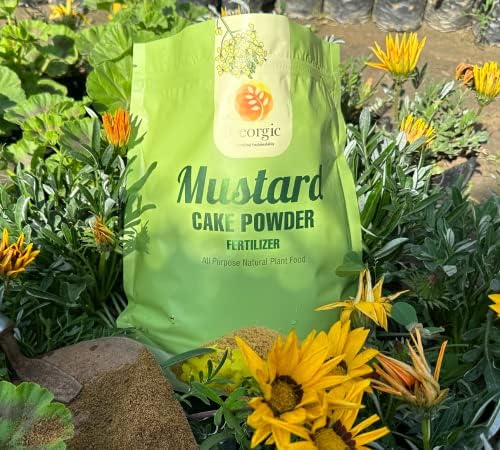 GEORGIC Mustard Oil Cake Powder All-Purpose Natural Fertilizers Concentrate for Flower, Vegetable, Herb, Fruit Tree (3 Lb)