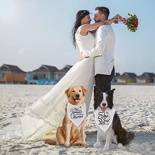 Engagement Gift, My Humans are Getting Married Dog Bandana, Wedding Photo Prop, Pet Scarf, Dog Engagement Announcement, Pet Accessories (White)