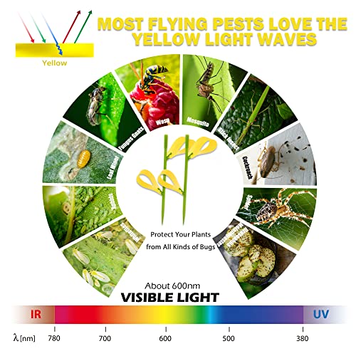 90PCS Yellow Sticky Traps for Indoors/Outdoor Gnat Traps for Plants Fungus Gnats Sticky Traps for Whiteflies Mosquitoes Fruitflies Thrips Aphids. Stake Holders Included Dual-Sided