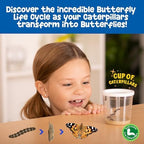 Insect Lore Butterfly Garden | As Seen On TV | 10 Live Baby Caterpillars, Habitat, Journal, Life Cycle Figurines, Seeds, Stickers, Feeder, Chrys-A-Lid Logs | Raise and Release Painted Lady Butterflies