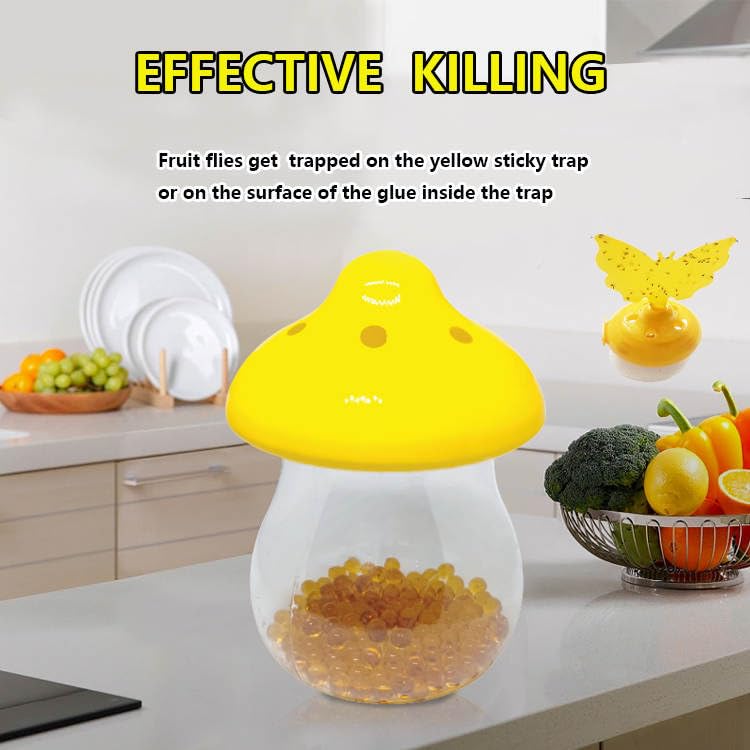 Fruit Fly Trap Killer and Sticky Traps for Indoor and Outdoor Flies - Fungus Gnat Pest Control with 4 Bait Packs and 10 Sticky Traps House Kitchen Plants Insect Bug Catcher