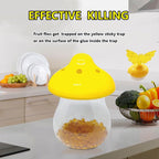 Fruit Fly Trap Killer and Sticky Traps for Indoor and Outdoor Flies - Fungus Gnat Pest Control with 4 Bait Packs and 10 Sticky Traps House Kitchen Plants Insect Bug Catcher