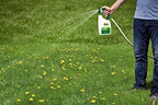 Roundup For Lawns3 Ready-To-Spray (Northern), 32 oz. - Lawn Safe Weed Killer for Northern Lawns, Kills Crabgrass, Dandelion, Clover and Yellow Nutsedge - Kills Weeds, Not the Lawn
