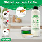 Fly Away - Indoor Fruit Fly Trap Kit. Reusable & Refillable Traps (3), Trap Flies for Over 90 Days with Liquid Bait Lure, Stylish Design - Perfect for Home Kitchens, Bars, Restaurants, and Wineries.