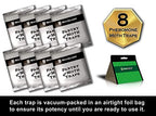 Maxguard Pantry Moth Traps (8 Pack) with Extra Strength Pheromones | Non-Toxic Sticky Glue Trap for Food and Cupboard Moths in Your Kitchen | Trap & Kill Pantry Pests |