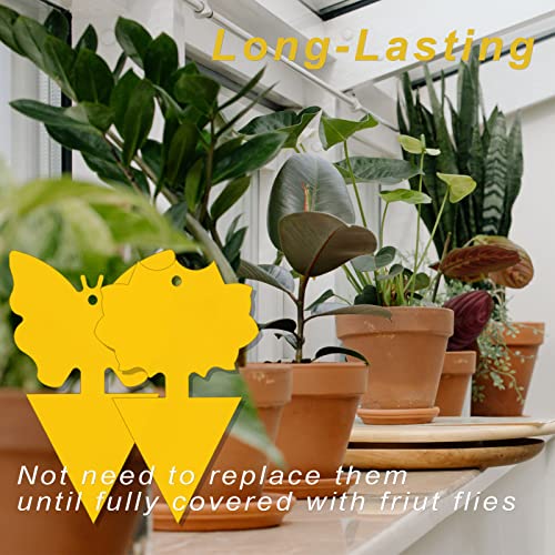 48 Pack Gnat Traps for House Indoor,Fruit Fly Traps for Indoors,Fruit Fly Trap,Yellow Sticky Traps for Gnats,Sticky Traps,Yellow Sticky Traps,Fruit Fly Traps,Sticky Gnat Trap Indoor Houseplant
