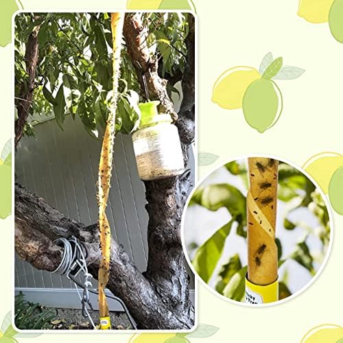 40 Packs Fly Strips, Fly Traps Indoor/Outdoor for Home Hanging, Fly Ribbon Tape Paper, Sticky Gnat Killer Traps Catcher for Fruit Flies, Bug, Insect, Pest, Mosquito, Plant