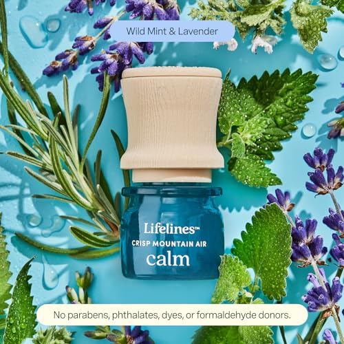 Lifelines Scent-Infused Motion Fidget Grounding Stones 2-Pack & Essential Oil Set, Portable Essential Oil Diffuser with Individual Crisp Mountain Air: Calm Essential Oil Blend 3 ML Included