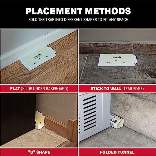 Catchmaster Mouse and Insect Glue Boards, 75-Pack Mouse Traps Indoor for Home, Sticky Pest Control Adhesive for Catching Bugs, Small Mice & Rodents, Non Toxic Bulk Glue Traps