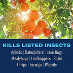 BioAdvanced Organics Brand Tomato, Vegetable & Fruit For Insects, Ready-to-Use, 24 oz