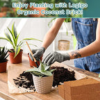 Legigo 8 Pack Premium Coco Coir Brick for Plants- 100% Organic Compressed Coconut Coir Bricks Starting Mix, Coco Coir Fiber Coconut Husk for Planting, Gardening, Potting Soil Substrate, Herbs