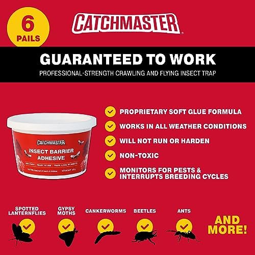 Catchmaster Tree Banding Insect Barrier 6Pk, 15oz Pails, Lanternfly & Ant Traps, Outdoor Adhesive Crawling Insect Trap, Glue Traps to Protect Trees, Fruit & Plants