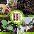 Legigo 12 Pack Premium Coco Coir Brick for Plants- 100% Organic Compressed Coconut Coir Bricks Starting Mix, Coco Coir Fiber Coconut Husk for Planting, Gardening, Potting Soil Substrate, Herbs