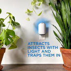 Zevo Flying Insect Trap Refill Kit| Attracts and Traps Insects like Fruit Flies, Gnats, House Mosquitoes Other | Pack Includes 2 cartridges| Device Sold Separately, White