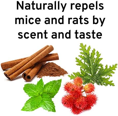 Victor M809 Mouse and Rat Repellent Natural Peppermint Non-Toxic Spray for Indoor and Outdoor Use Ready to Use – 32 fl oz