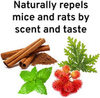Victor M809 Mouse and Rat Repellent Natural Peppermint Non-Toxic Spray for Indoor and Outdoor Use Ready to Use – 32 fl oz