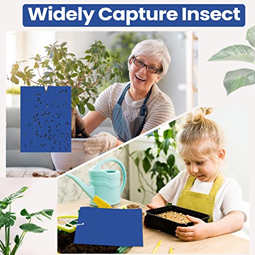 100 Pcs Double Sided Sticky Traps for Flying Plant Insect Like White Flies Aphids 6 x 8 Inch Sticky Gnat Traps Killer Fruit Fly Traps for Indoor Outdoor Including Twist Ties, Blue