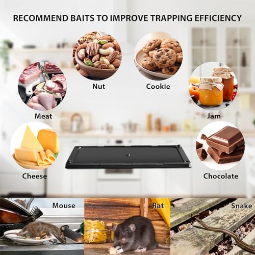 TRAP IT! Mouse Traps Indoor for Home, 12 Pack Pre-Baited Sticky Glue Traps for Mice & Rats, Larger Heavy Duty Adhesive Plastic Trays Pet Family Safe for Rodents, Snakes, Spiders, Lizards Pest Control