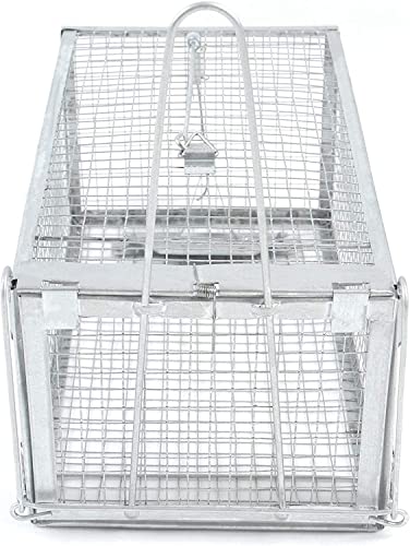 2-Pack H&B Rat Trap,Mouse Traps,Humane Live Animal Trap Cage,12.7X6.6 X5.2inch,Work for Indoor and Outdoor,Catch and Release Stray Cats,Squirrels and Rodents,Small(Silver)