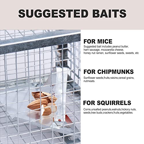 POlAFLEX Rat Traps Outdoor and Indoor, Single Door Cage Rodent Trap, Live Traps for Chipmunks, Catch and Release, Chipmunk Traps That Work for Rats, Mice, Chipmunks, and Other Small Size Animals