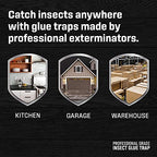 Exterminators Choice Large Red Sticky Traps | 10 Professional Quality Glue Boards | Non-Toxic Insect Bait | Easy Pest Control for Insects, Spiders, Cockroaches, and Lizards