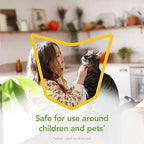 Raid Essentials Ant Spider, and Roach Killer Aerosol Spray, Child & Pet Safe, Kills Insects Quickly, for Indoor Use, 10 oz (Pack of 3)