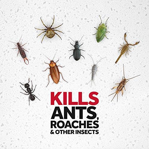 Raid Ant & Roach Killer Spray for Listed Bugs, Insect, Spider, For Indoor Use, Fresh Scent, 12 Oz, Pack of 12
