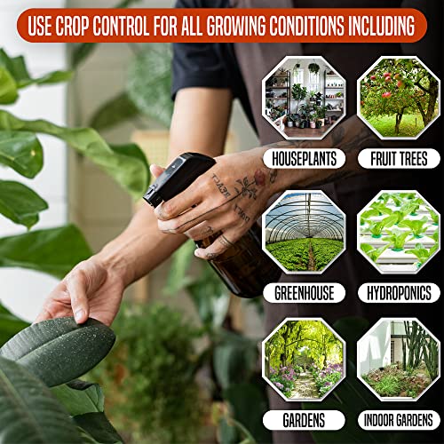 Trifecta Crop Control Super Concentrate All-in-One Natural Pesticide, Fungicide, Miticide, Insecticide, Help Defeat Spider Mites, Powdery Mildew, Botrytis, Mold and More on Plants 32 OZ