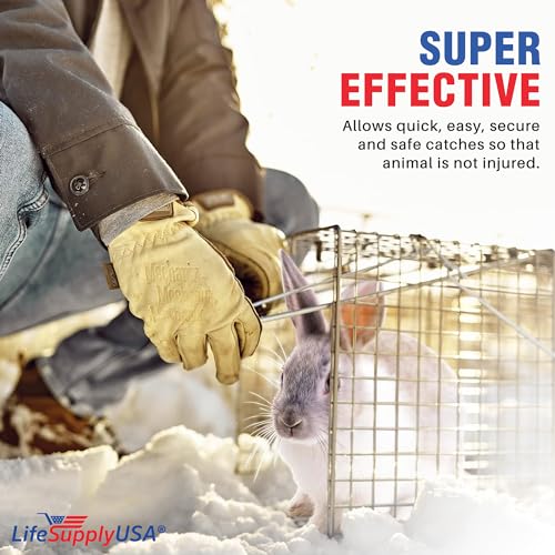 LifeSupplyUSA Humane Live Animal Trap - Catch and Release 1-Door Cage Trap for Rats, Feral Cats, Raccoons, Rabbits, Skunks, Squirrels, Similar Sized Animals - No Kill Easy Trapping (24"x7"x7")