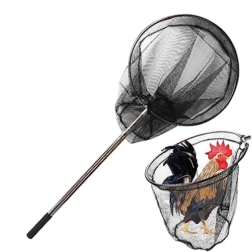 Animal Catch Net Pole Tool Chicken Catcher Leg Hook Tool Kit Animal Control Catch Pole Cat Bird Poultry and Small Animals Catching Net