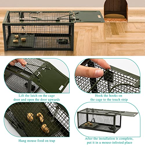 Qualirey 2 Pcs Humane Mouse Trap Live Rat Trap Mice Cage Work for Indoor and Outdoor Mouse Voles Hamsters Catch and Release (Green)