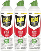 Raid Essentials Ant & Roach Killer Aerosol Spray, Child & Pet Safe, Kills Insects Quickly, for Indoor Use, 10 oz (Pack of 3)