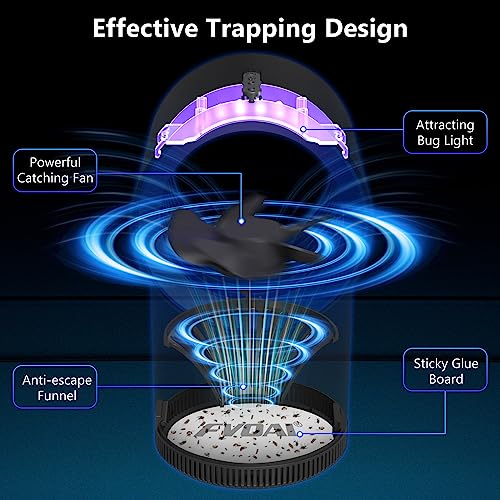 FVOAI Fruit Fly Trap Indoor, Fruit Fly Traps for Indoors H3 Mosquito Zapper Indoor Insect Trap with Suction, Time Setting, Bug Light & 10 Pcs Sticky Glue Boards (Blue)